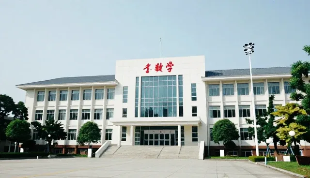 长期合作服务如何提升品牌管理效果？